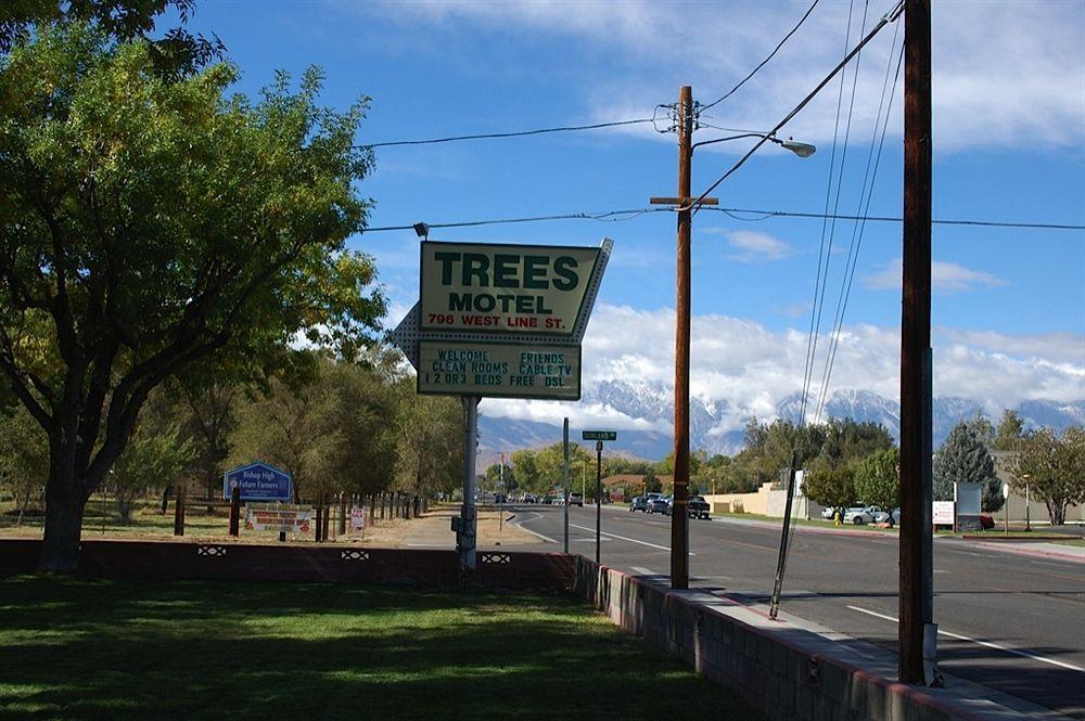 Trees Motel Bishop Dış mekan fotoğraf